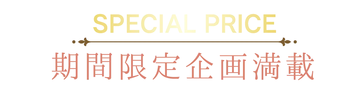 2日間限りのスペシャル企画