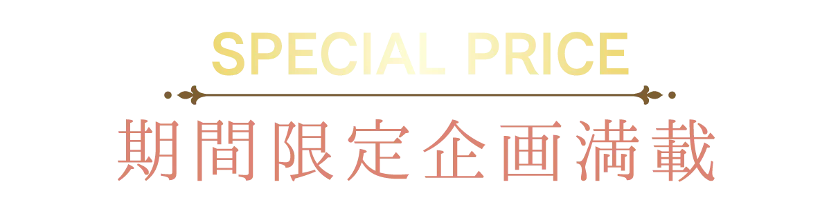 2日間限りのスペシャル企画