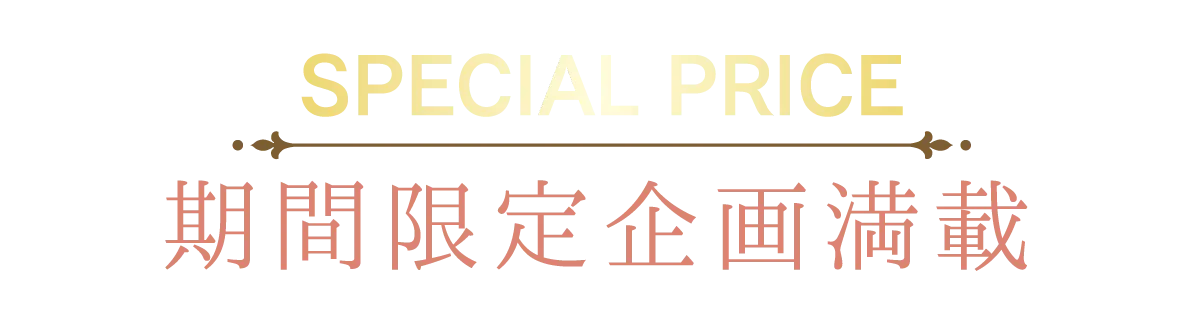 2日間限りのスペシャル企画