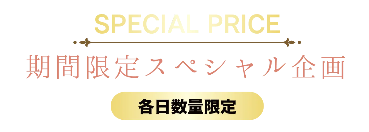 2日間限りのスペシャル企画