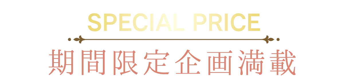 2日間限りのスペシャル企画