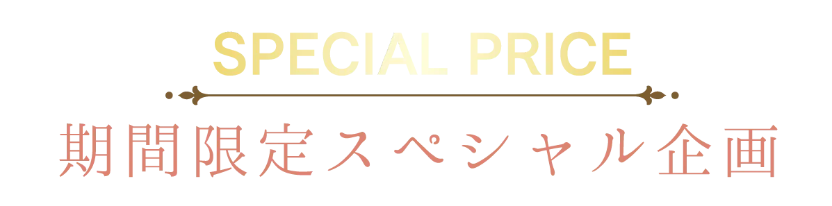 2日間限りのスペシャル企画