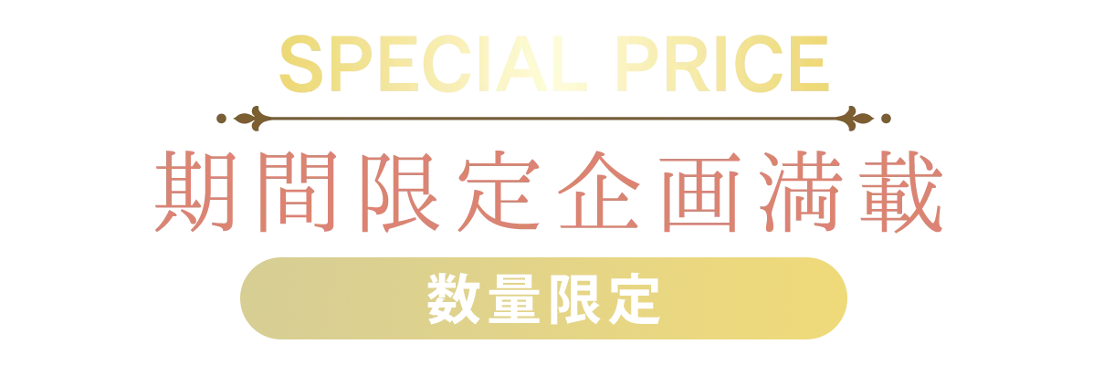 2日間限りのスペシャル企画