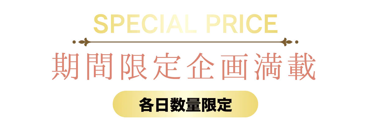 2日間限りのスペシャル企画