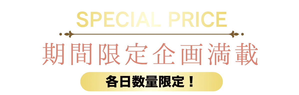 2日間限りのスペシャル企画