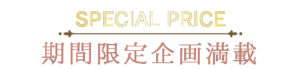 2日間限りのスペシャル企画