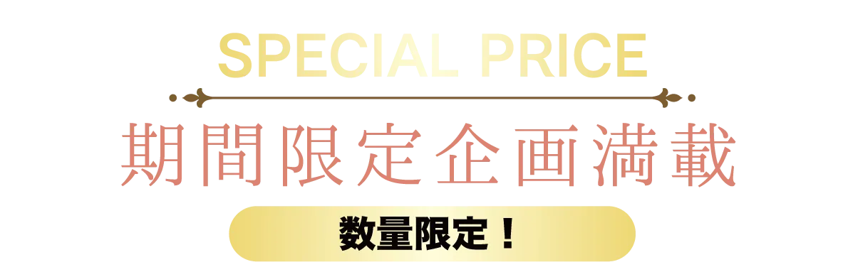 2日間限りのスペシャル企画