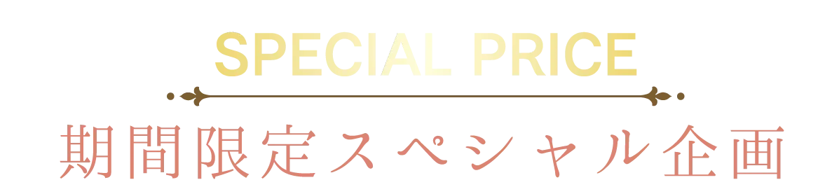 2日間限りのスペシャル企画