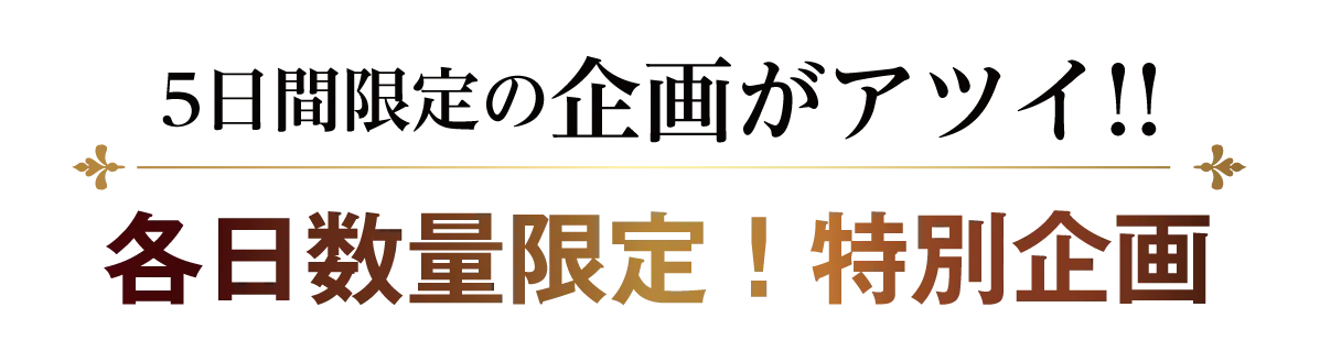 2日間限りのスペシャル企画