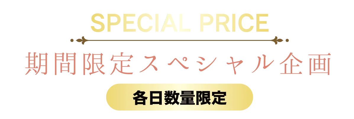 2日間限りのスペシャル企画