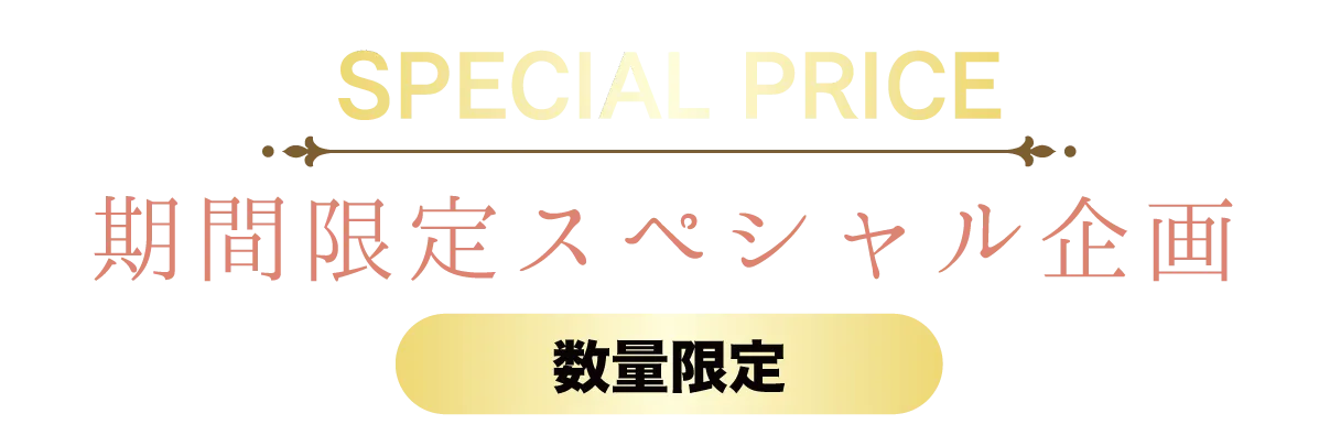 2日間限りのスペシャル企画