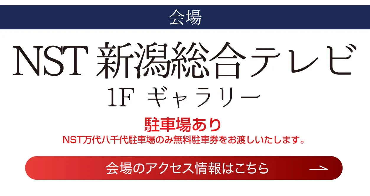 NST 新潟総合テレビ