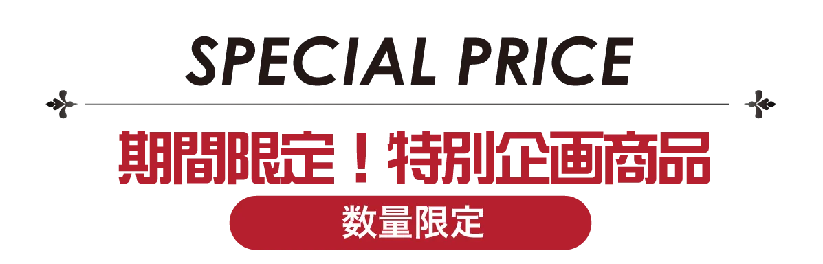 2日間限りのスペシャル企画