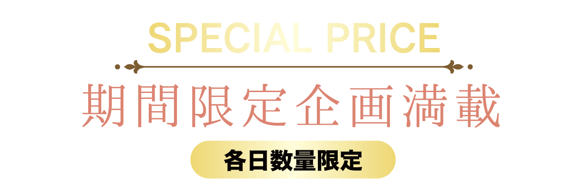 2日間限りのスペシャル企画