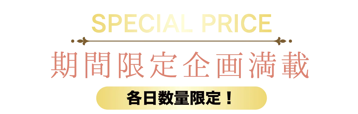 2日間限りのスペシャル企画