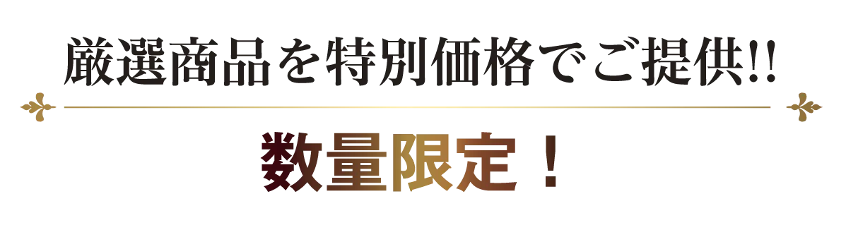 2日間限りのスペシャル企画