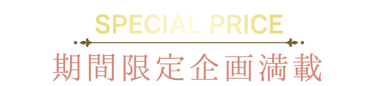 2日間限りのスペシャル企画