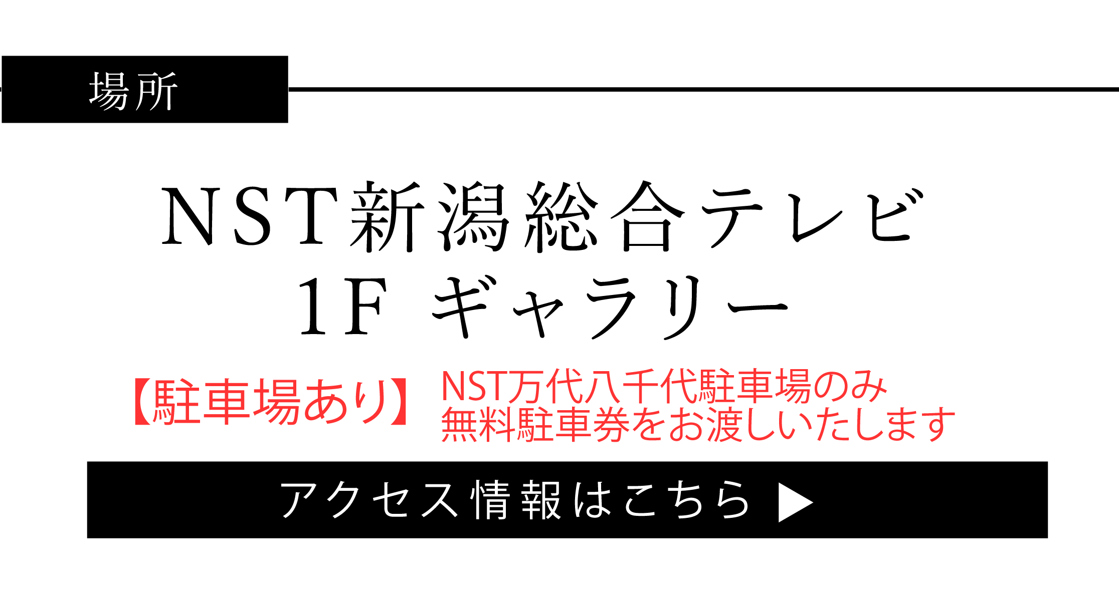 NST 新潟総合テレビ