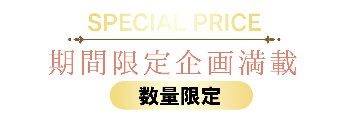 2日間限りのスペシャル企画