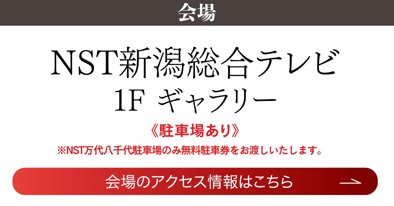 NST 新潟総合テレビ