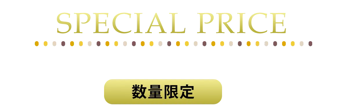 2日間限りのスペシャル企画