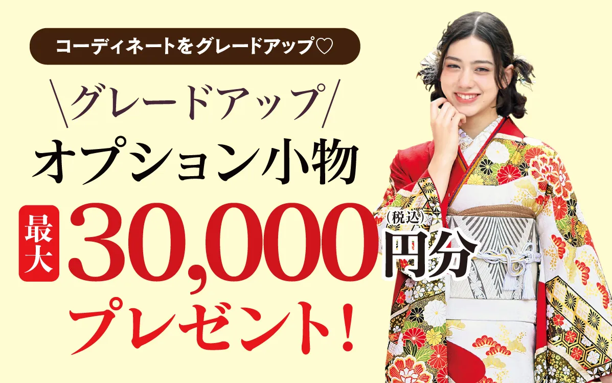 オプション小物30000円お値引き