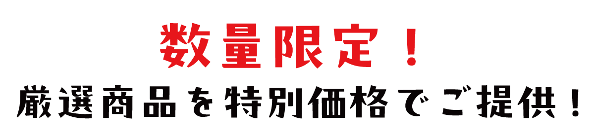 2日間限りのスペシャル企画