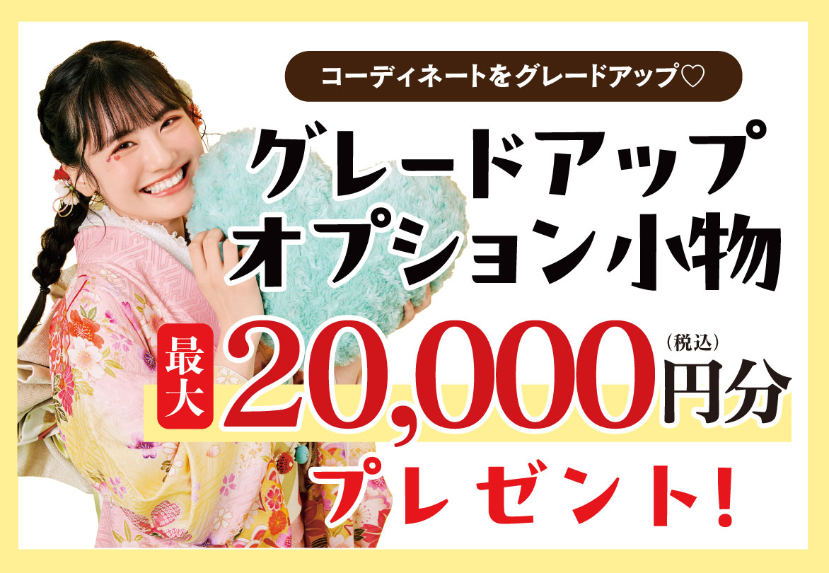 オプション小物