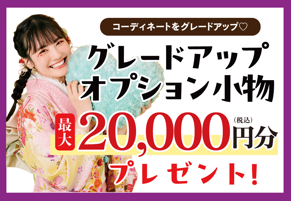 オプション小物