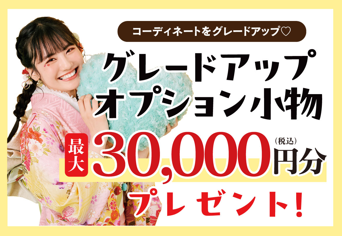 オプション小物