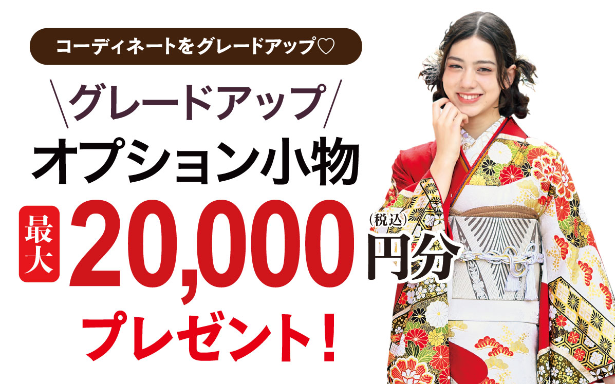 オプション小物