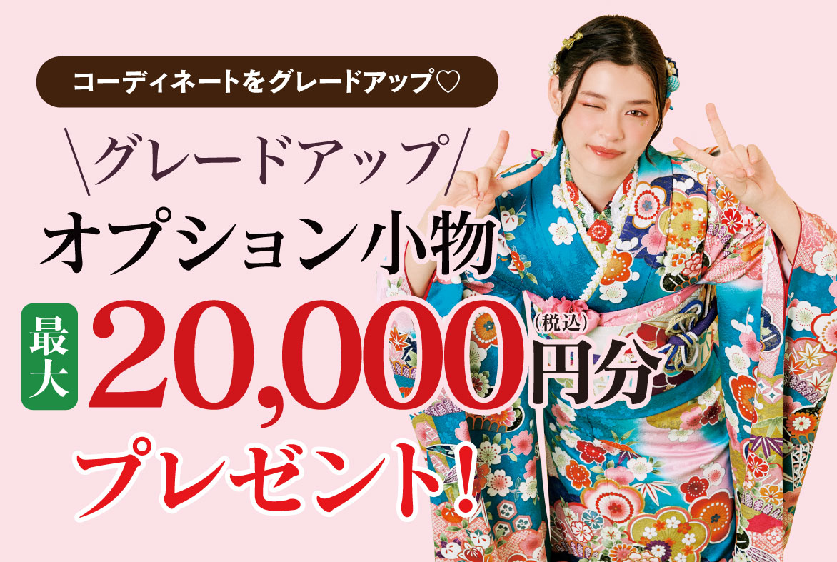 オプション小物
