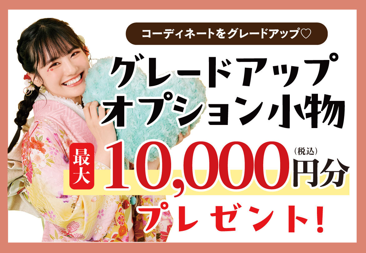 オプション小物