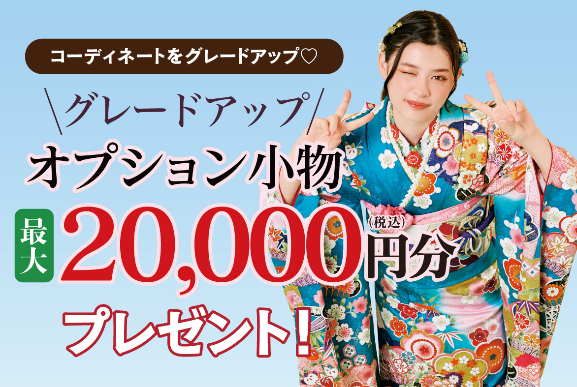 オプション小物2万円