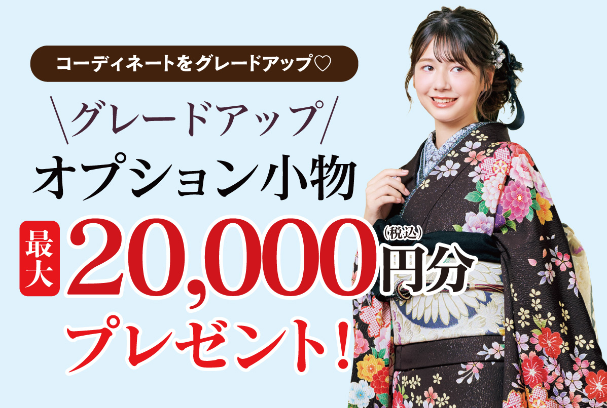 オプション小物