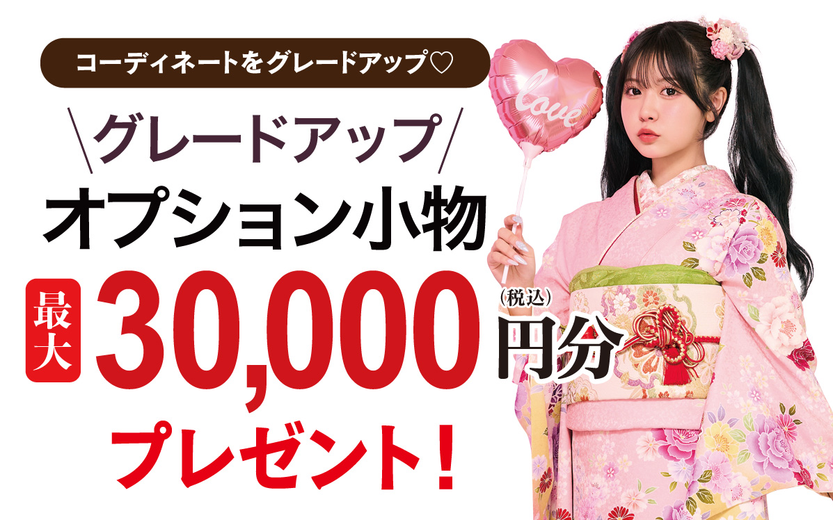 オプション小物