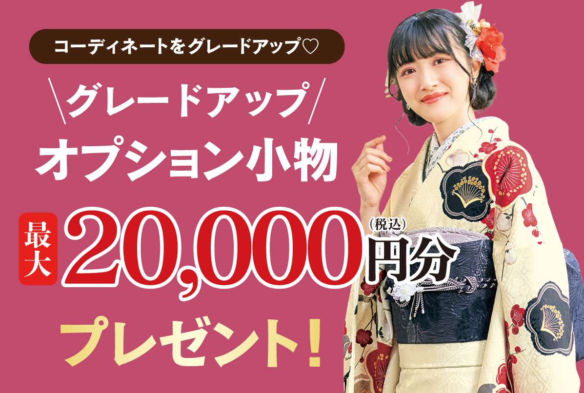オプション小物