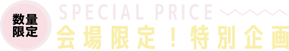 2日間限りのスペシャル企画