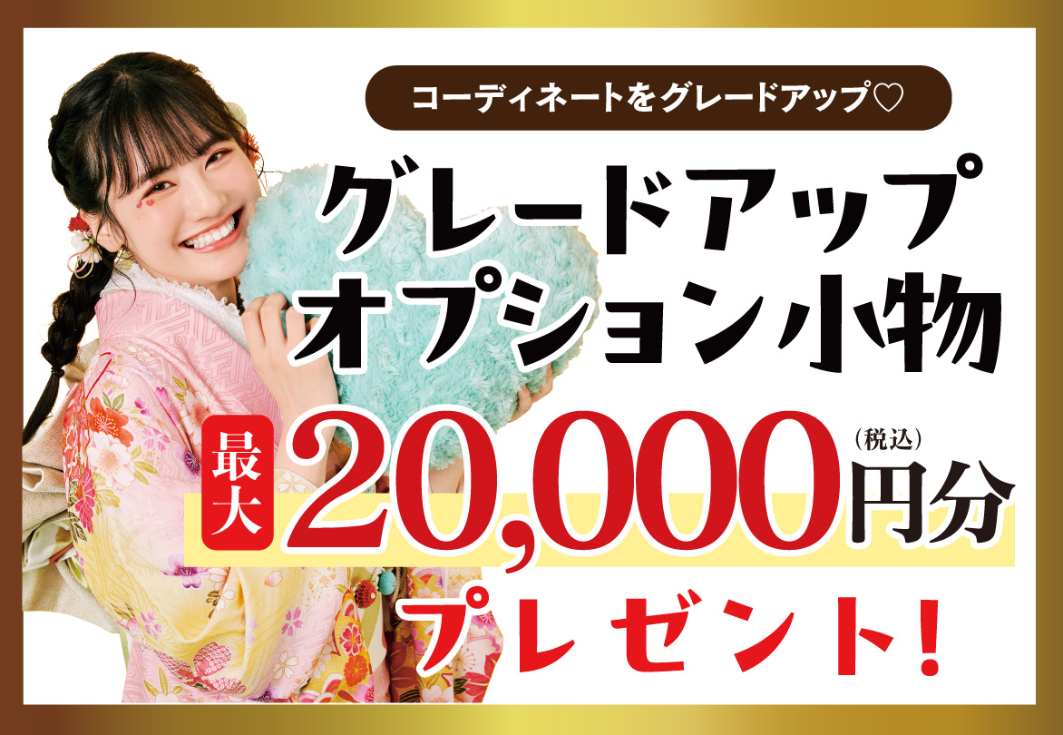 オプション小物