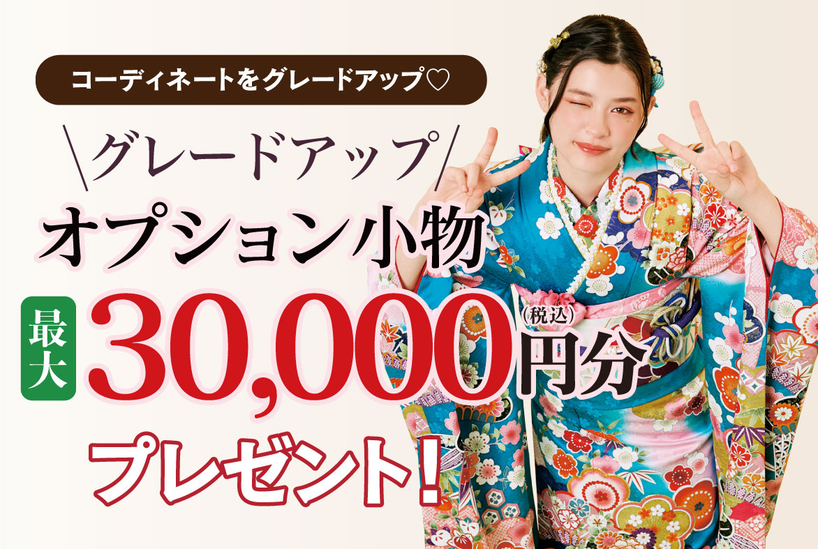 オプション小物2万円