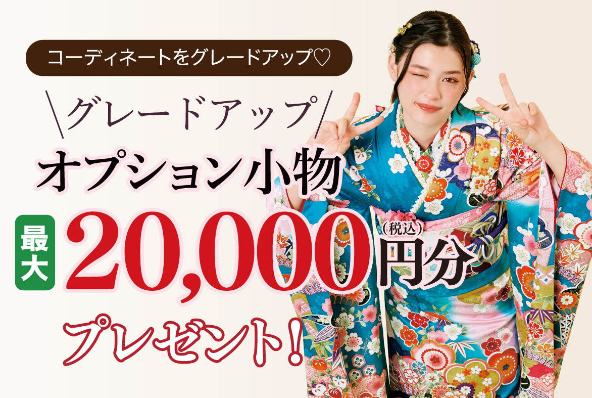 オプション小物