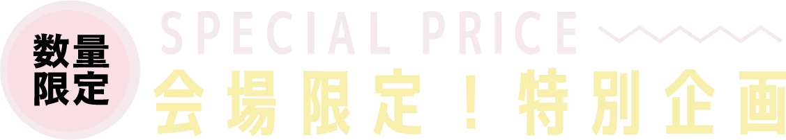 2日間限りのスペシャル企画