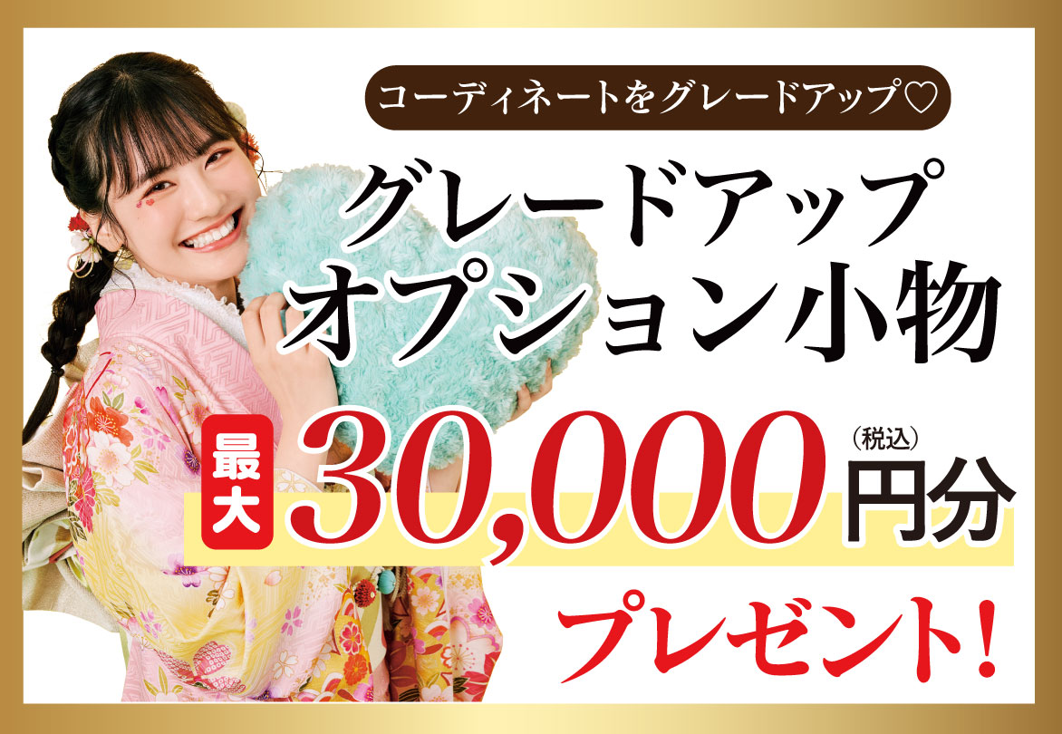 オプションこもの