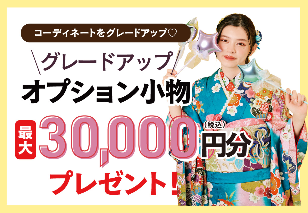 オプション小物
