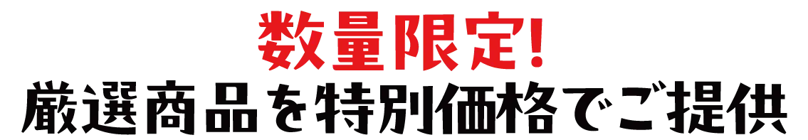 2日間限りのスペシャル企画