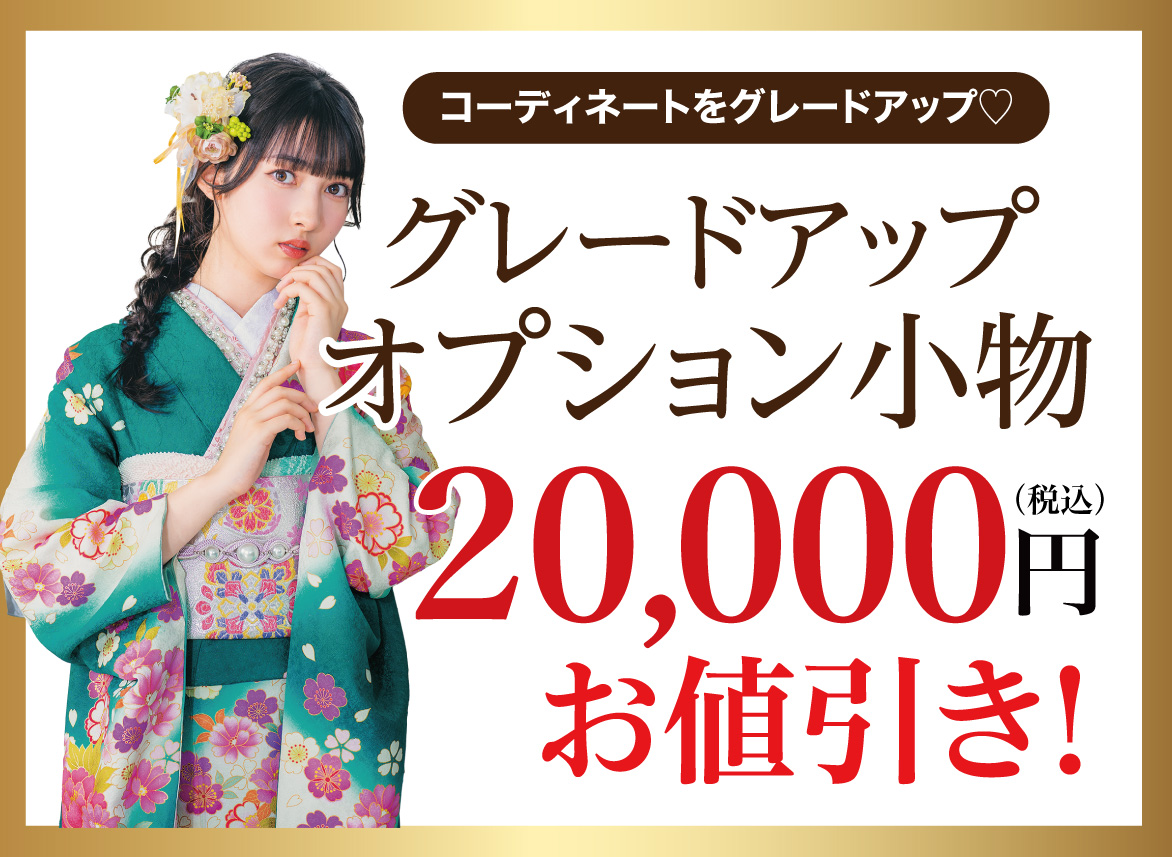 オプション小物20000円引き