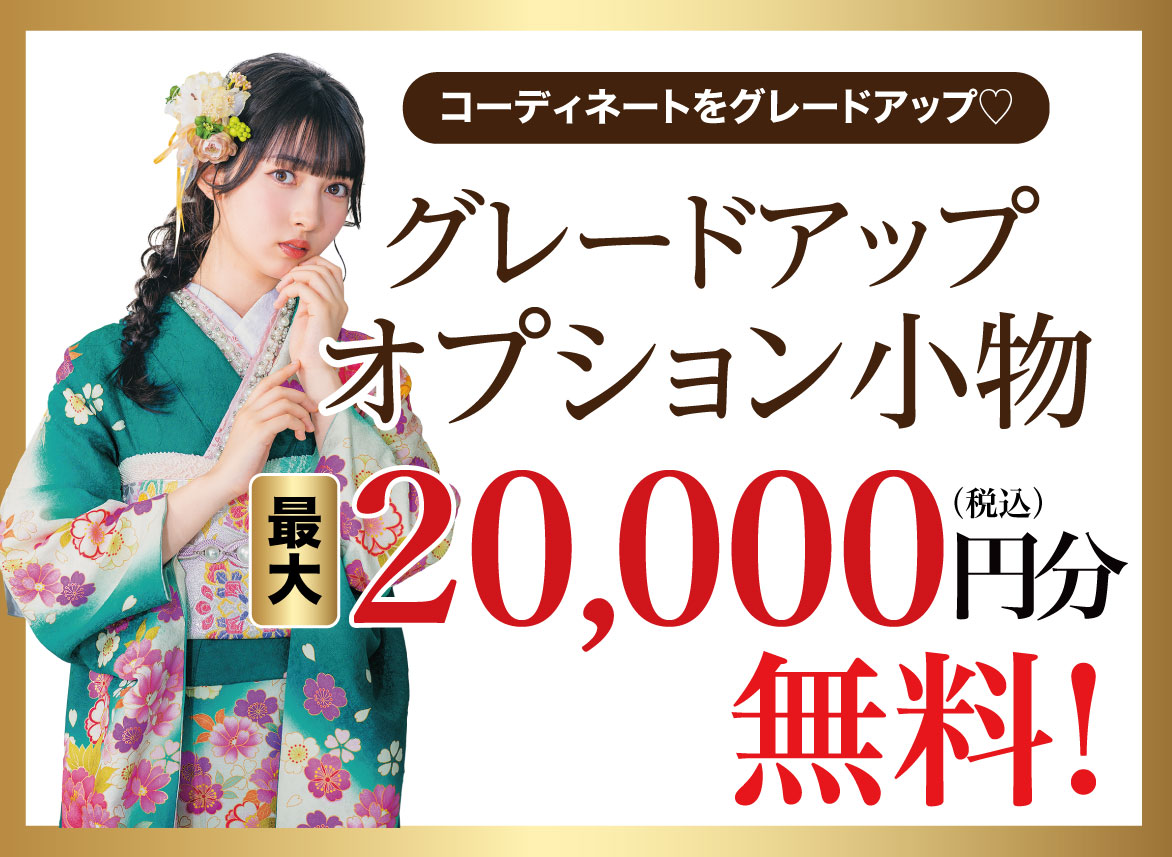 オプション小物20000円引き