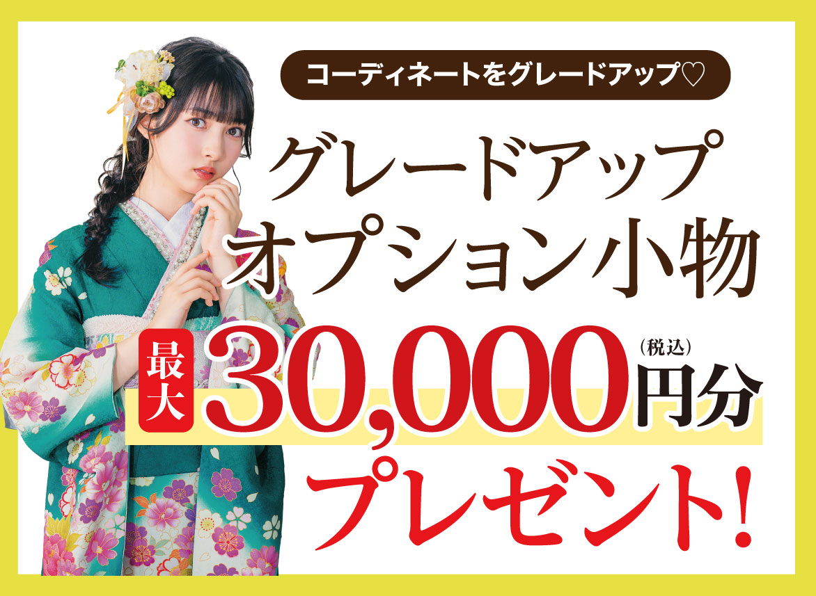 オプション小物3万円