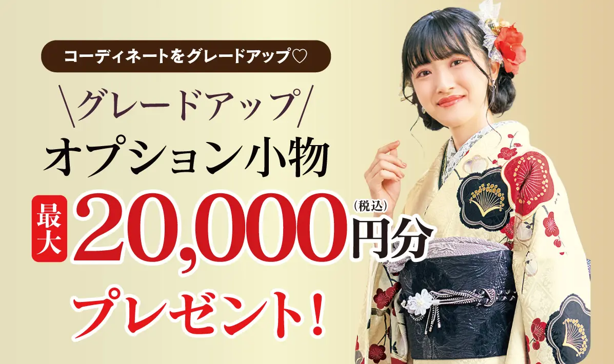 オプション小物