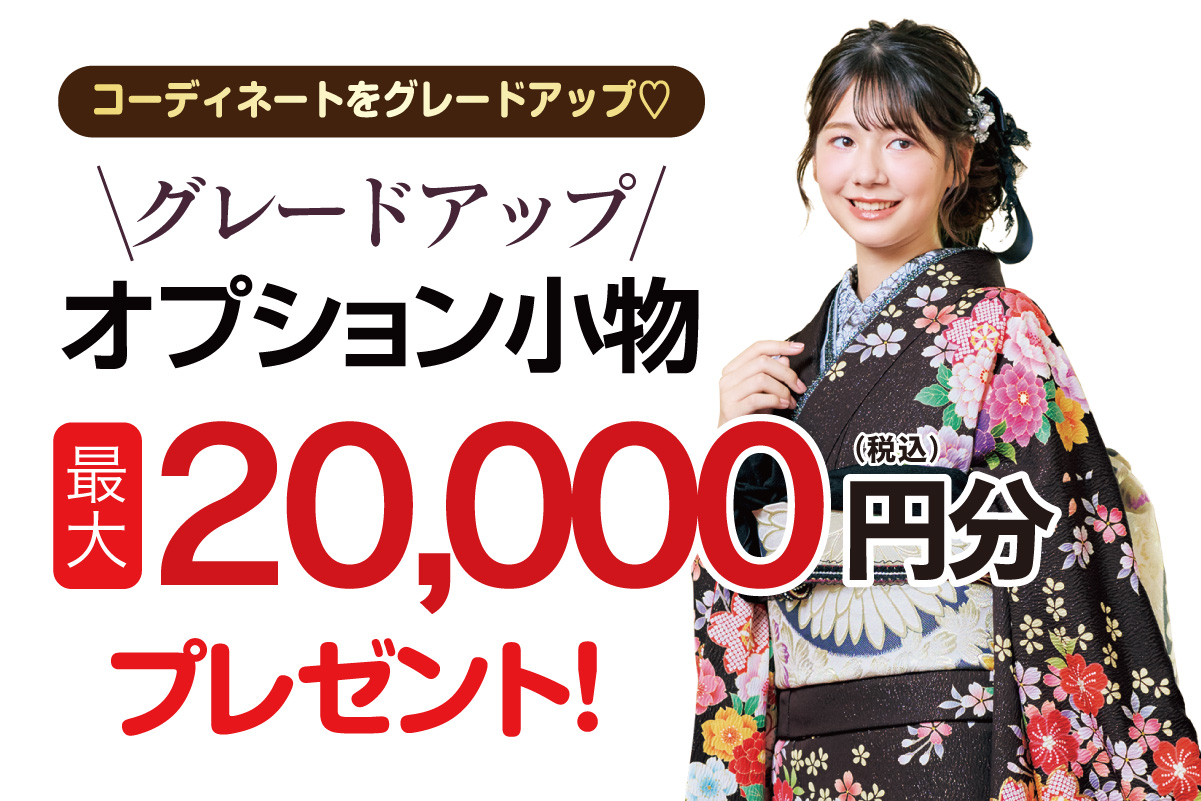 グレードアップオプション小物